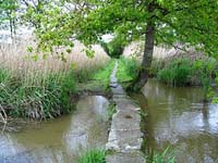 Nature Regional Park of Briere in Brittany France Nature Regional Park of Briere in Brittany France